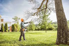 Best Lawn Pest Prevention  in Petal, MS