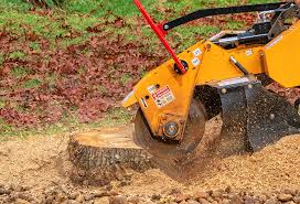 Reliable Petal, MS Tree Care Solutions